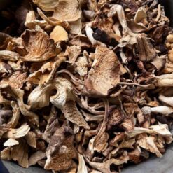 Gourmet Mushrooms