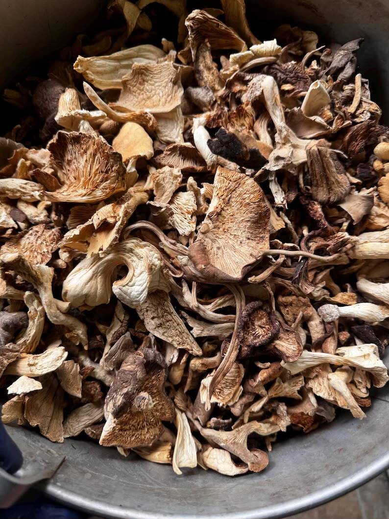 Gourmet Mushrooms