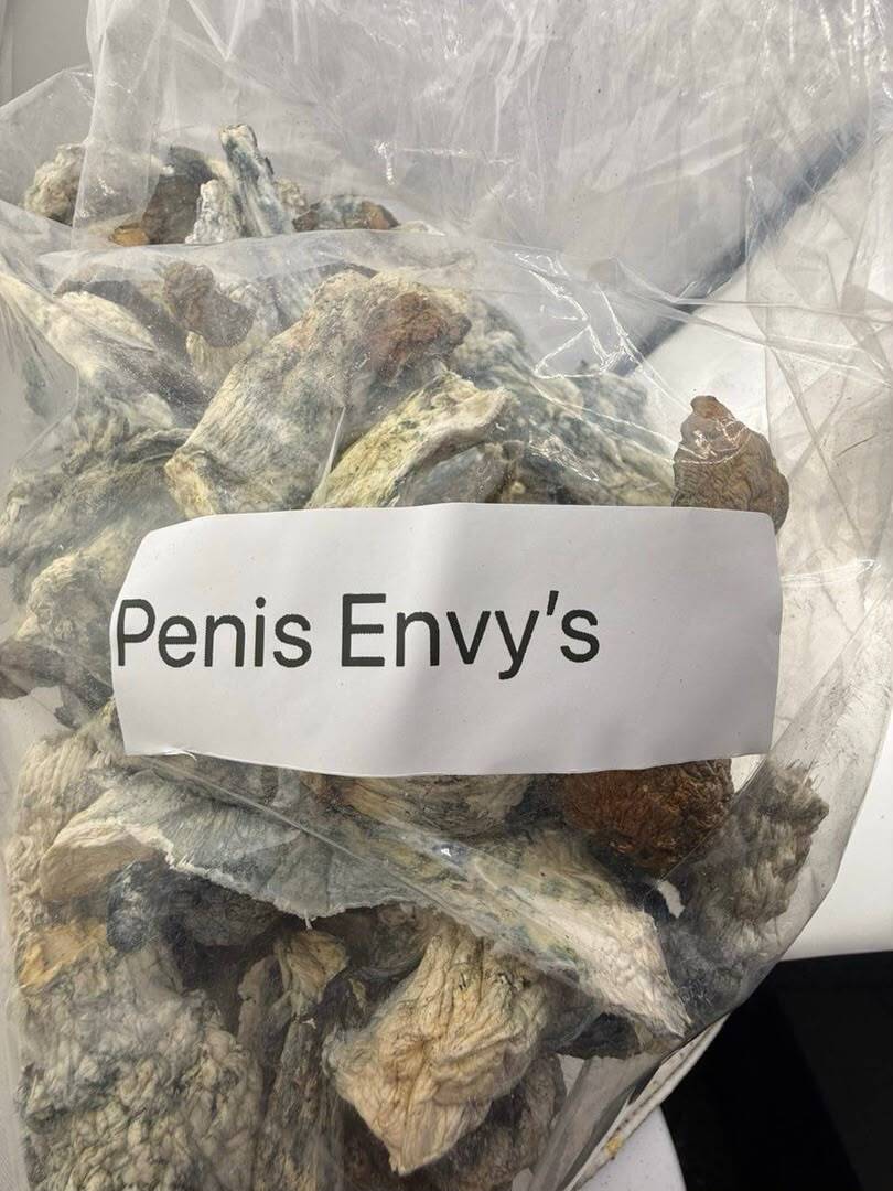 Penis Envy Mushroom