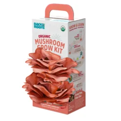 MUSHROOM GROW KIT
