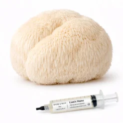 Mushroom Spores