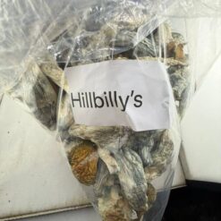 Hillbilly Mushroom