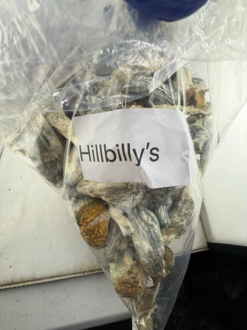 Hillbilly Mushroom
